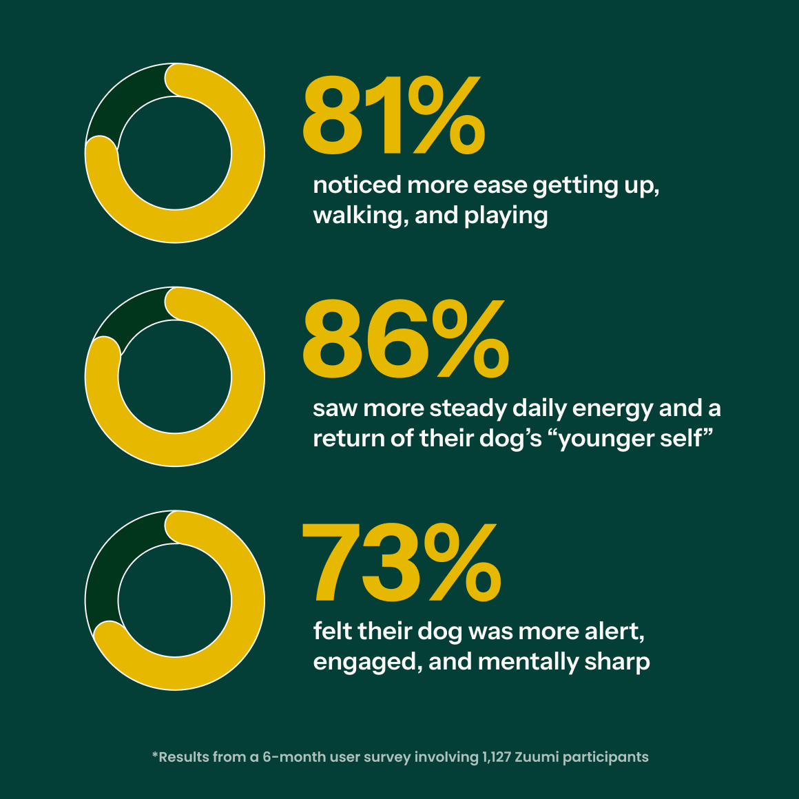 Zuumi Longevity Chews